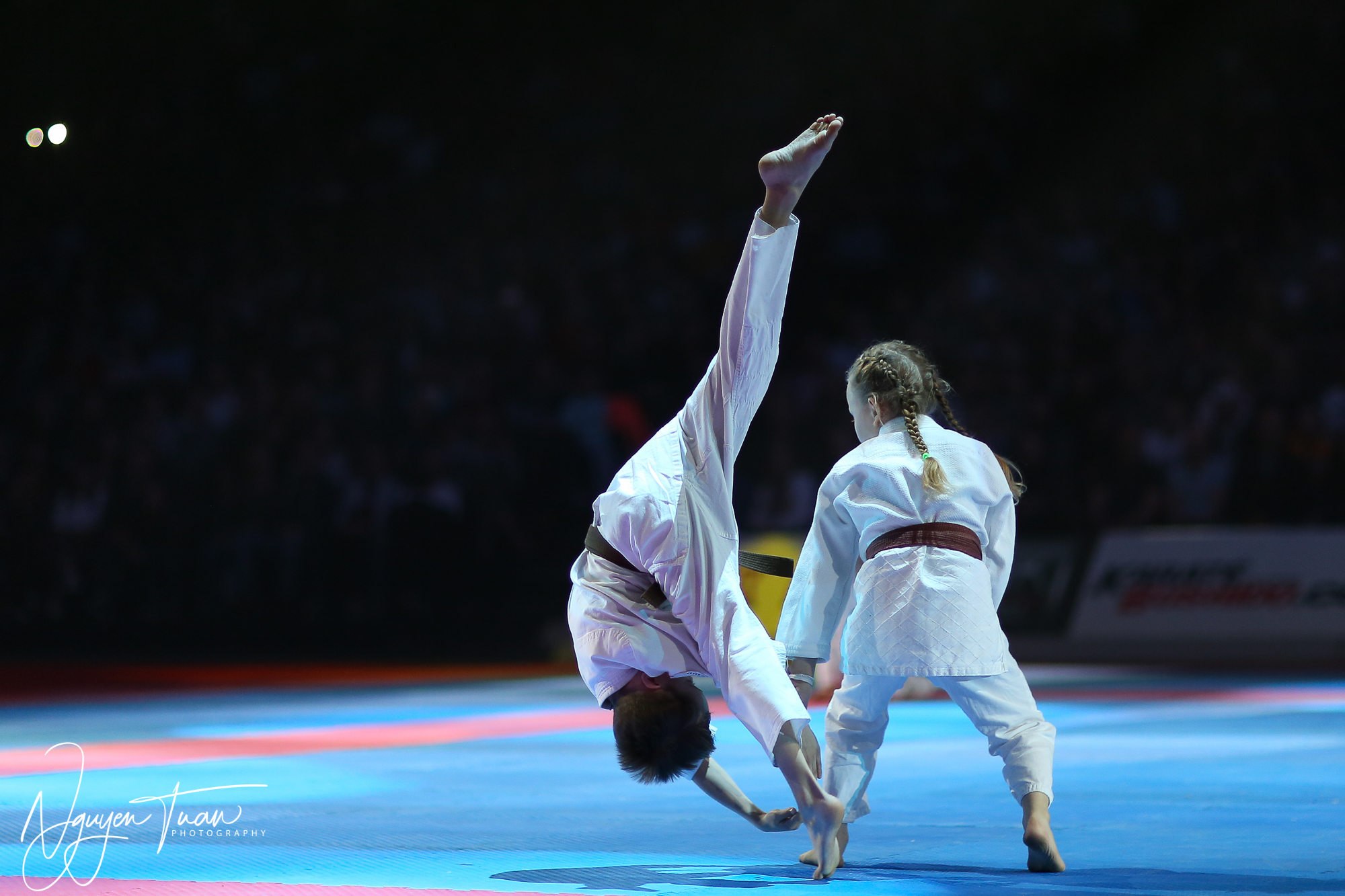 20190324 Festival des Arts Martiaux 3644